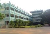 Tamilnadu College Of Engineering