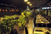 The Grill House
