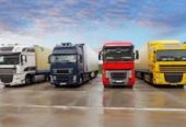 Paradise Logistics