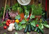 Agricultural & Processed Food Products Export Development Authority