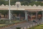 Scientific Assistant — Manonmaniam Sundaranar University