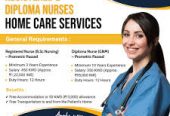 Pavintra HR & Placement Services – Expert Job Consultancy in Salem
