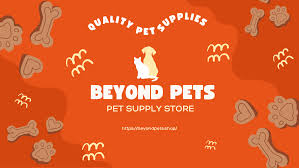 Beyond Petz