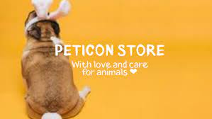 Beyond Petz