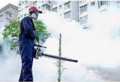 Total Pest Protection – A to Z Coverage!