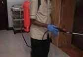 Total Pest Protection – A to Z Coverage!