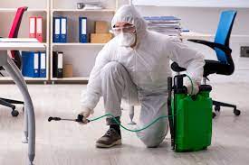 Madurai’s Trusted Pest Control Experts – Care Pest Control