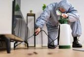 Madurai’s Trusted Pest Control Experts – Care Pest Control