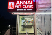 Annai Pet Clinic – Caring for Your Pets Like Family