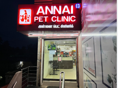 Annai Pet Clinic – Caring for Your Pets Like Family