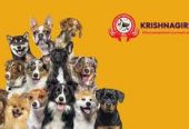 Krishnagiri Pets  Your One-Stop Destination for Pets, Care & Companionship