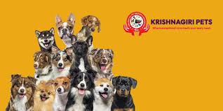 Krishnagiri Pets  Your One-Stop Destination for Pets, Care & Companionship