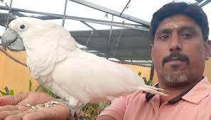 Krishnagiri Pets  Your One-Stop Destination for Pets, Care & Companionship