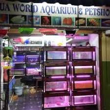 Krishnagiri Pets  Your One-Stop Destination for Pets, Care & Companionship