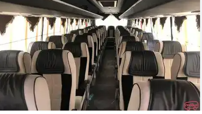 Travel Tales with Friends