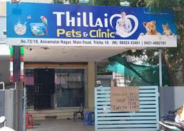 Thillai Pets & Clinic