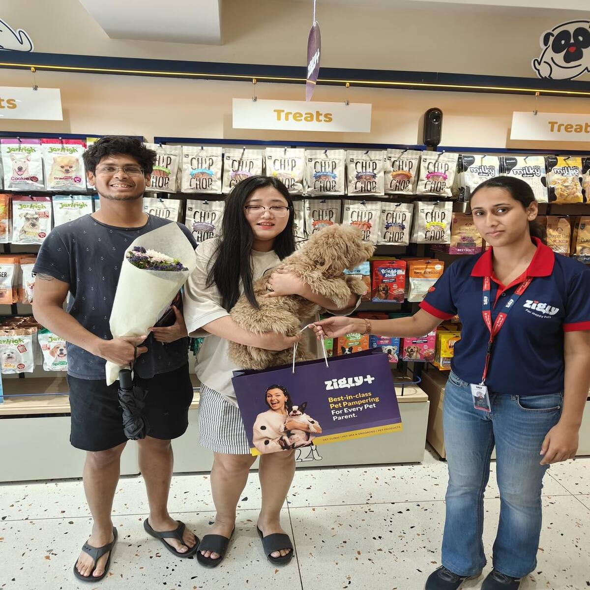 Zigly – Vet Clinic & Pet Care Hub | Where Pet Wellness Meets Compassionate Expertise