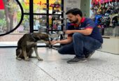 Zigly – Vet Clinic & Pet Care Hub | Where Pet Wellness Meets Compassionate Expertise