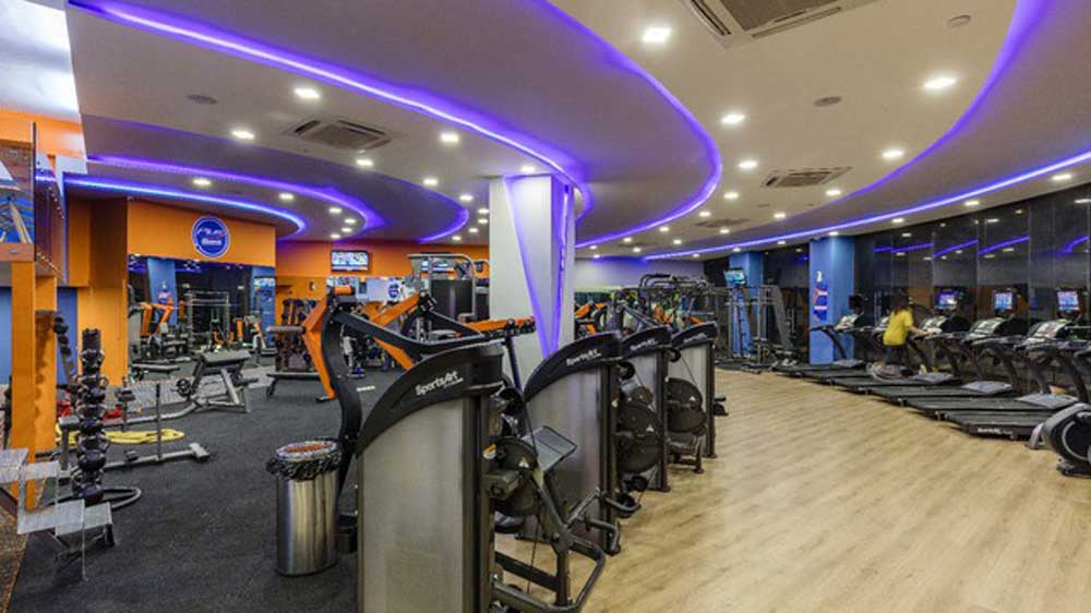 Fitness Plus Gym – High-Performance Gym & Personal Training in Siolim–Chopdem, North Goa