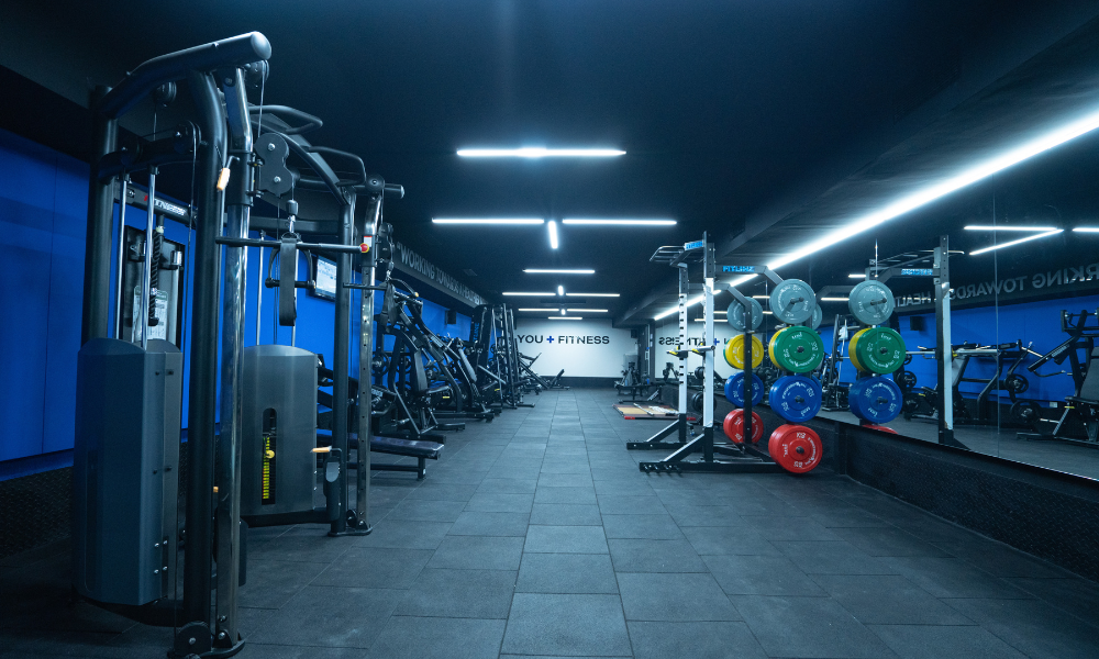 Fitness Plus Gym – High-Performance Gym & Personal Training in Siolim–Chopdem, North Goa
