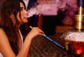 Lord of the Drinks – Goa’s Iconic Beachside Party Bar & Lounge Experience
