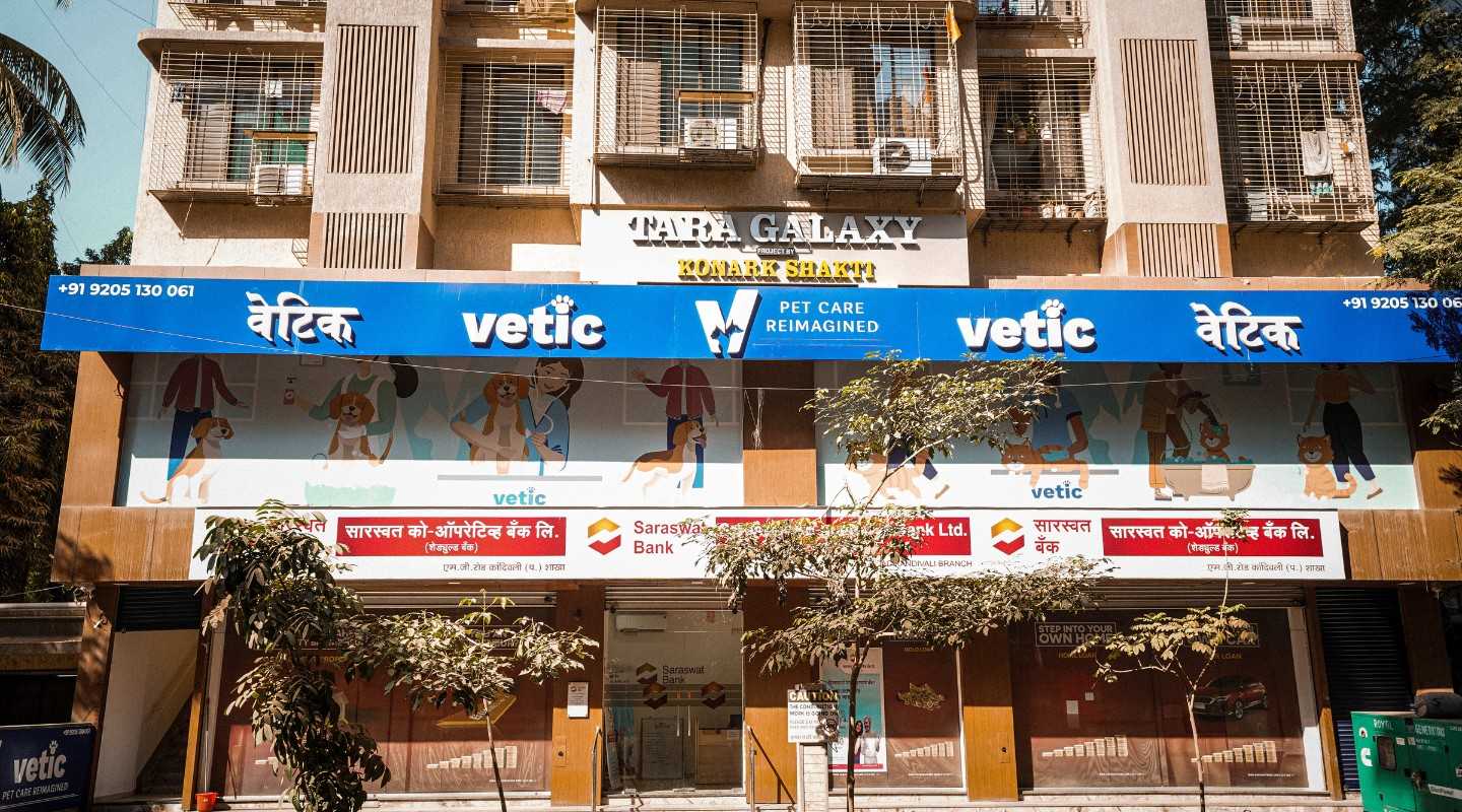 Vetic Pet Clinic – Expert Veterinary Care & Grooming on Bannerghatta Road, Bengaluru
