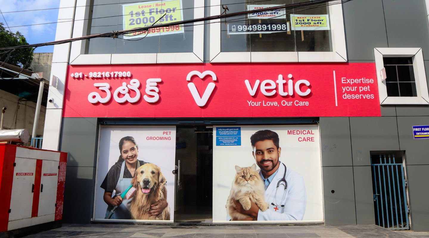 Vetic Pet Clinic – Expert Veterinary Care & Grooming on Bannerghatta Road, Bengaluru