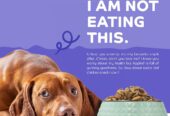 Zigly – Vet Clinic & Pet Care Hub | Where Pet Wellness Meets Compassionate Expertise