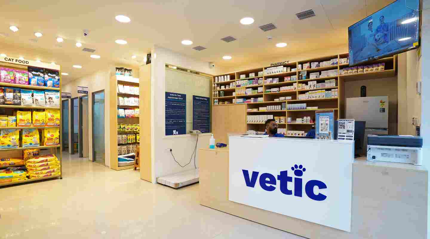 Vetic Pet Clinic – Expert Veterinary Care & Grooming on Bannerghatta Road, Bengaluru
