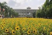 Dhivya College of Education