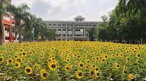 Dhivya College of Education