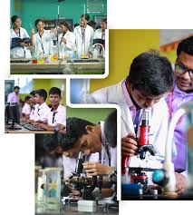 Pinkz Public School (CBSE)
