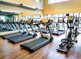 Get Fit with FitnessOne: Top Gym Equipment in Mayiladuthurai