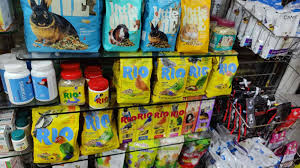 Pet City – Mahe, Puducherry | Your One-Stop Pet Shop for Furry Friends & Pet Essentials 🇮🇳