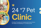 24×7 Ayu Pet Clinic – Trusted Pet Care & Emergency Vet Services in Dwarka