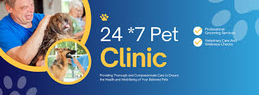 24×7 Ayu Pet Clinic – Trusted Pet Care & Emergency Vet Services in Dwarka