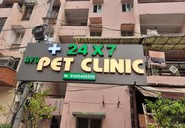 24×7 Ayu Pet Clinic – Trusted Pet Care & Emergency Vet Services in Dwarka