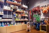 Heads Up For Tails – Premium Pet Supply & Grooming in Khan Market, Delhi