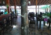 Cafe LazyDays – Stylish All-Day Bistro & Live Music Spot in Calangute, Goa