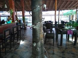 Cafe LazyDays – Stylish All-Day Bistro & Live Music Spot in Calangute, Goa