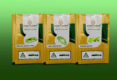 Agrocops – Kerala’s Organic Agri Hub for Empowered Farmers & Sustainable Growth