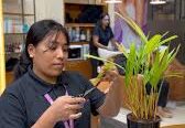 Naturals Unisex Salon