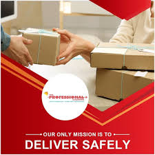 The Professional Couriers – Trusted & Timely Delivery Services in Kanyakumari
