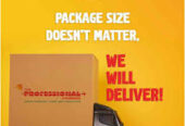 The Professional Couriers – Trusted & Timely Delivery Services in Kanyakumari