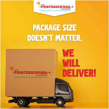 The Professional Couriers – Trusted & Timely Delivery Services in Kanyakumari