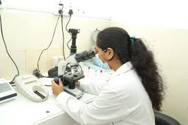 Auropet Clinic & Petstore – Chengalpattu