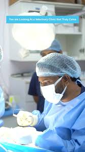 Auropet Clinic & Petstore – Chengalpattu