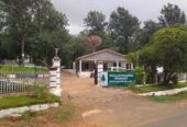 Nallathambi Resort – Kolli Hills | Nature’s Retreat with Scenic Stays and Serene Comfort