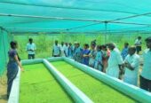 ICAR Krishi Vigyan Kendra, Ariyalur – Bridging Science and Farming