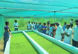 ICAR Krishi Vigyan Kendra, Ariyalur – Bridging Science and Farming